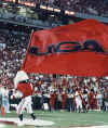 uga_flag.jpg (114178 bytes)